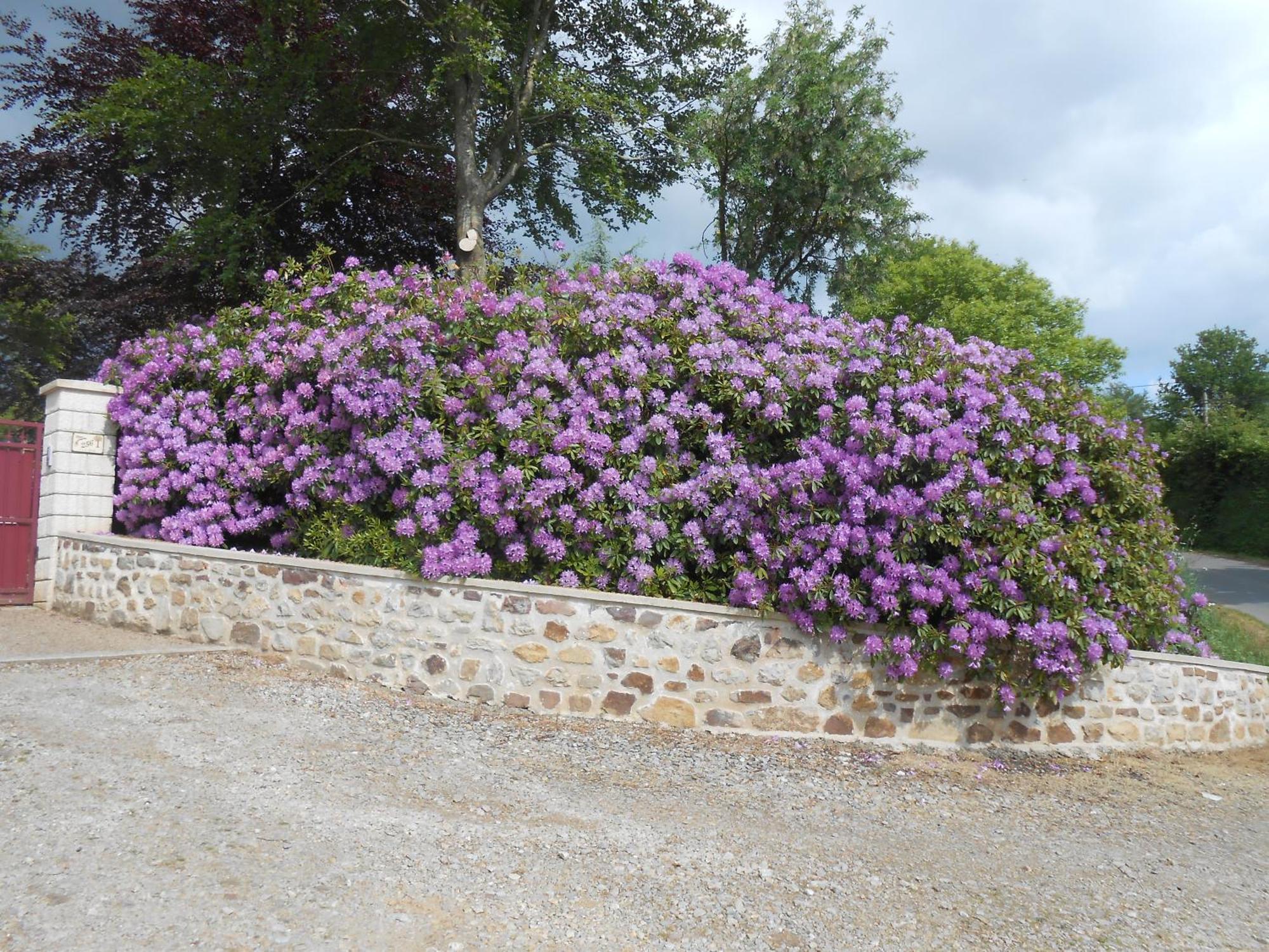 Maison Brix Exterior foto